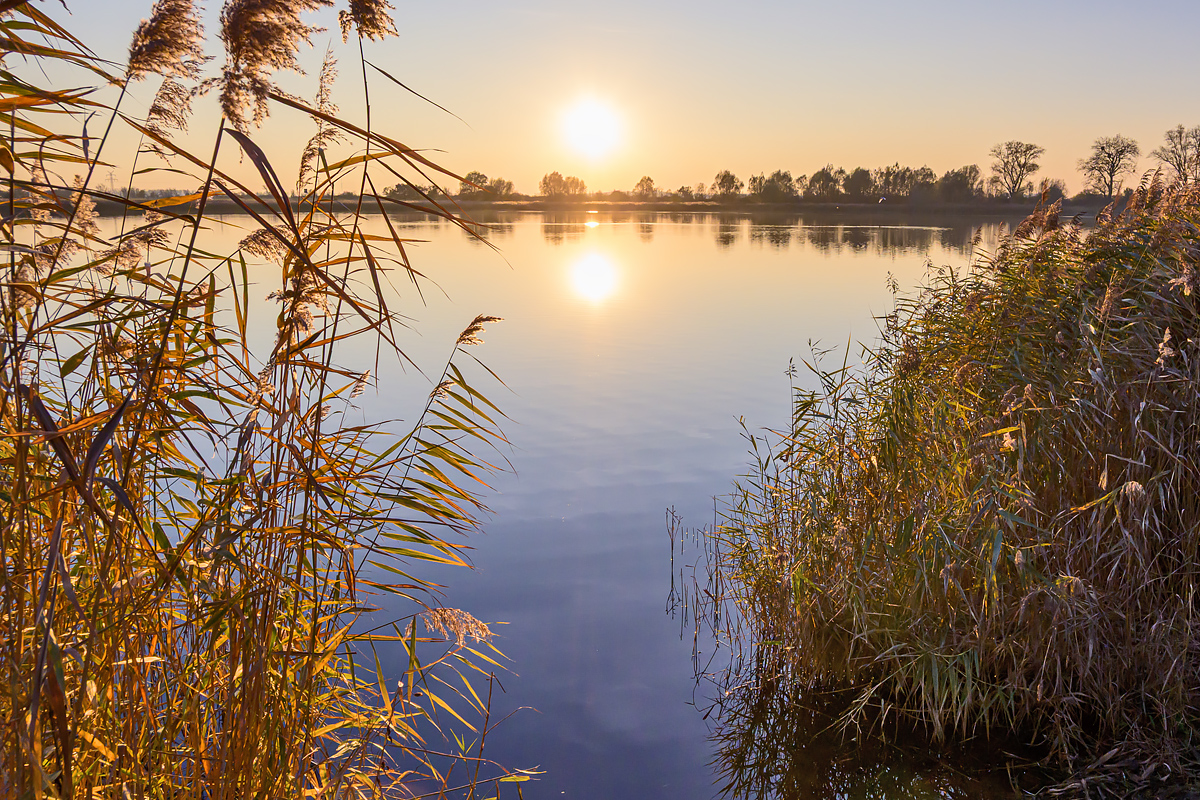 OFZ_02778.jpg