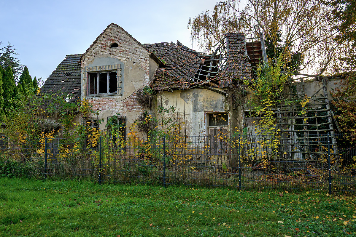 OFZ_02838.jpg