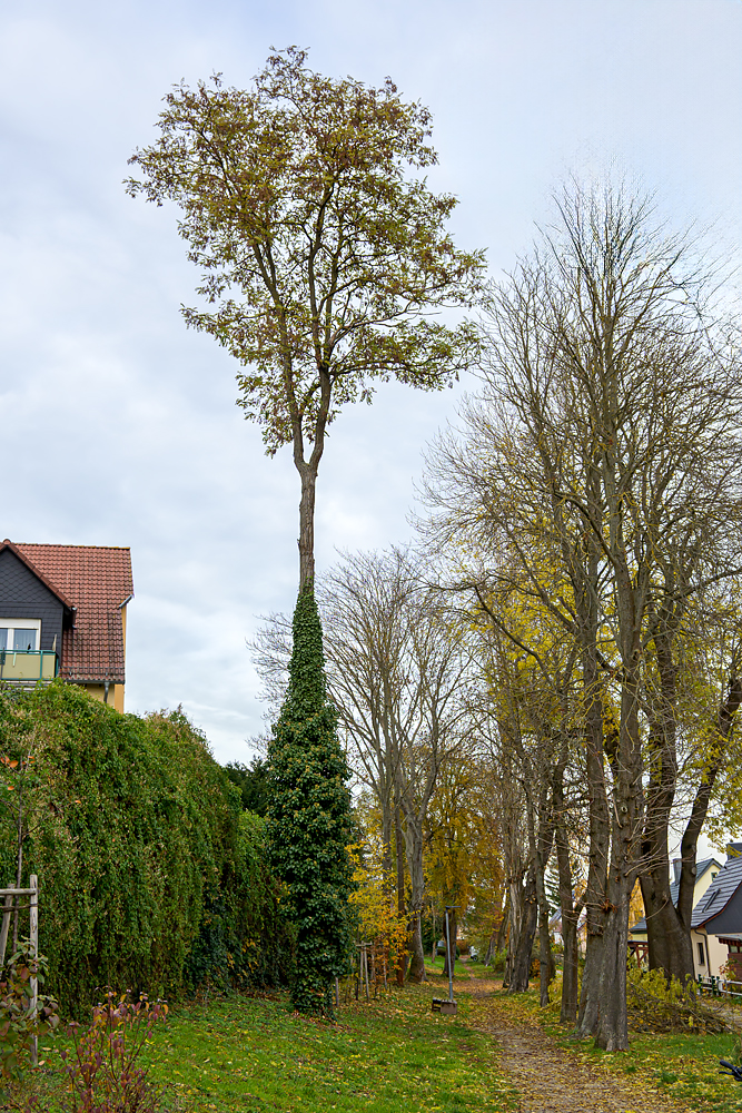 OFZ_02848.jpg