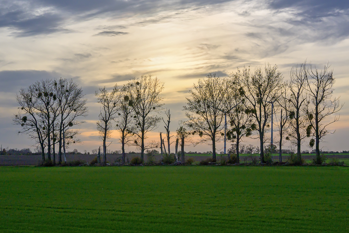 OFZ_02860.jpg