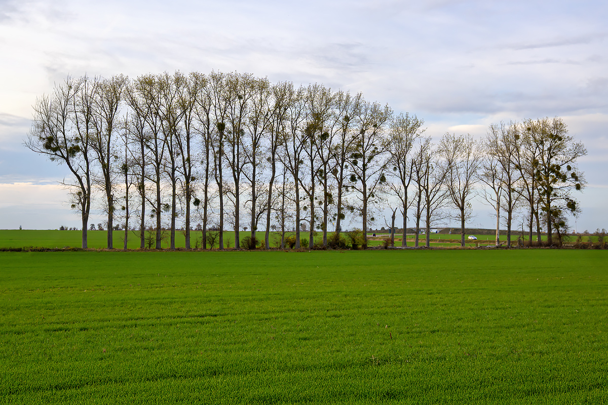 OFZ_02863.jpg