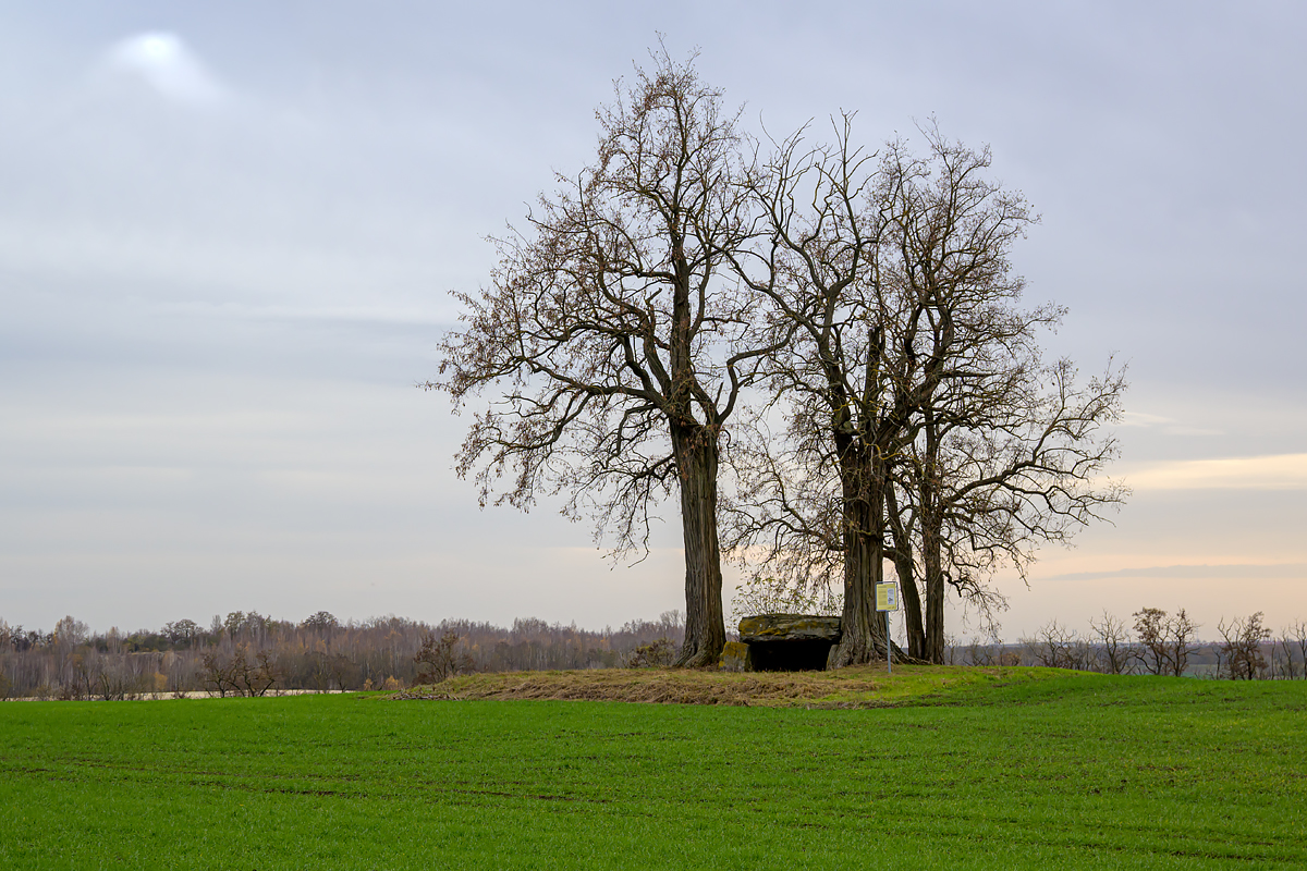 OFZ_02869.jpg