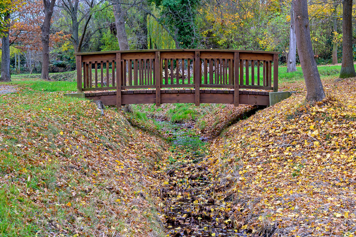 OFZ_02873.jpg