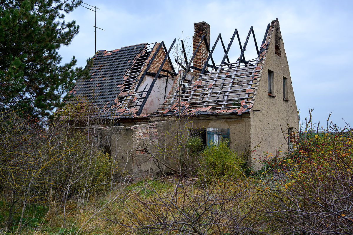 OFZ_02878.jpg