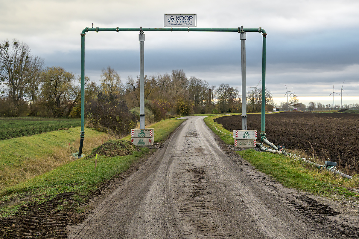 OFZ_02900.jpg