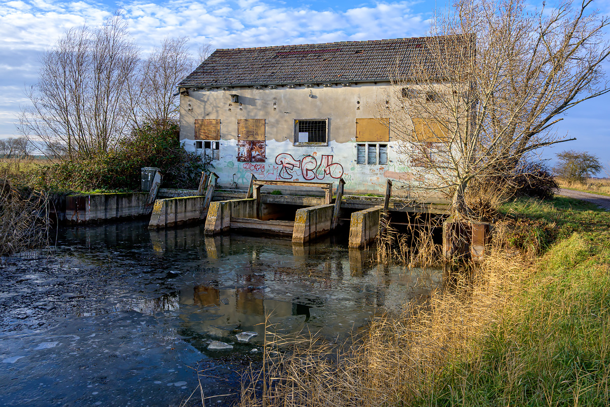 OFZ_02994.jpg