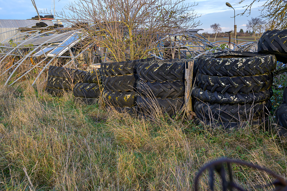 OFZ_03023.jpg