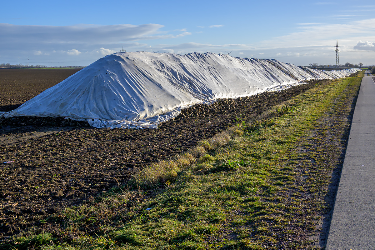 OFZ_03107.jpg