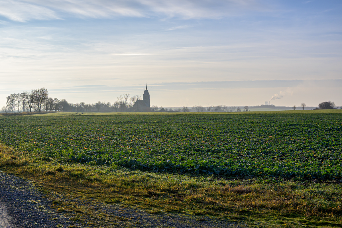 OFZ_03176.jpg