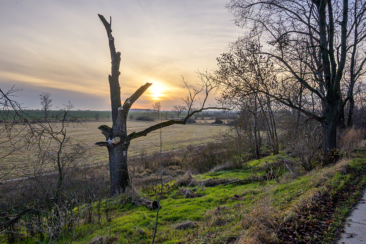 OFZ_03200.jpg