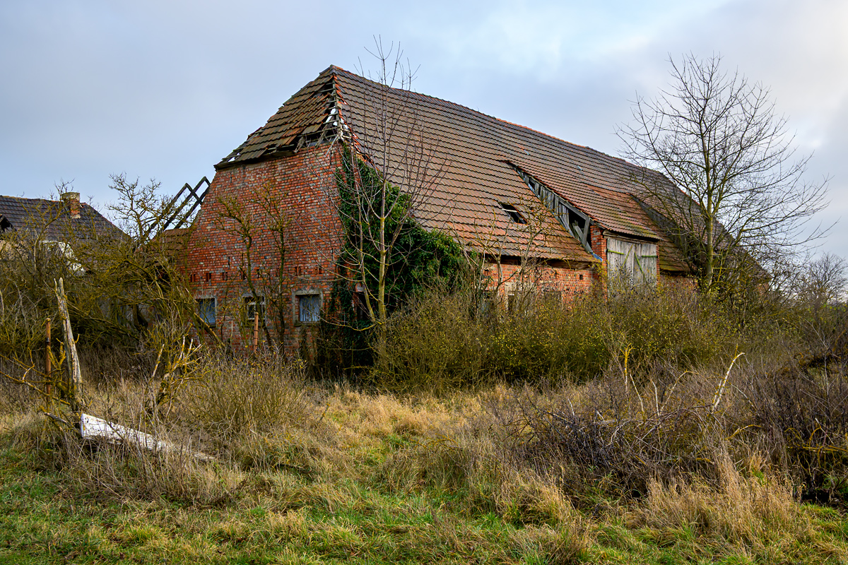 OFZ_03231.jpg
