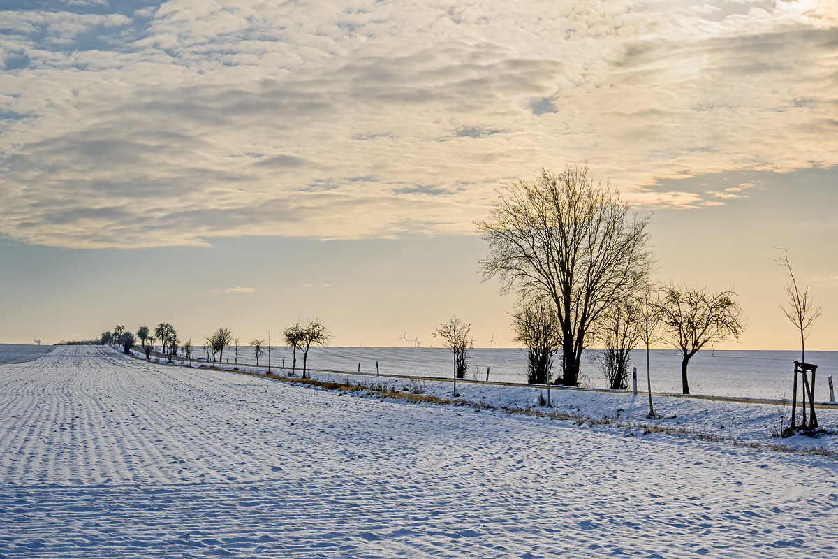 OFZ_03257.jpg