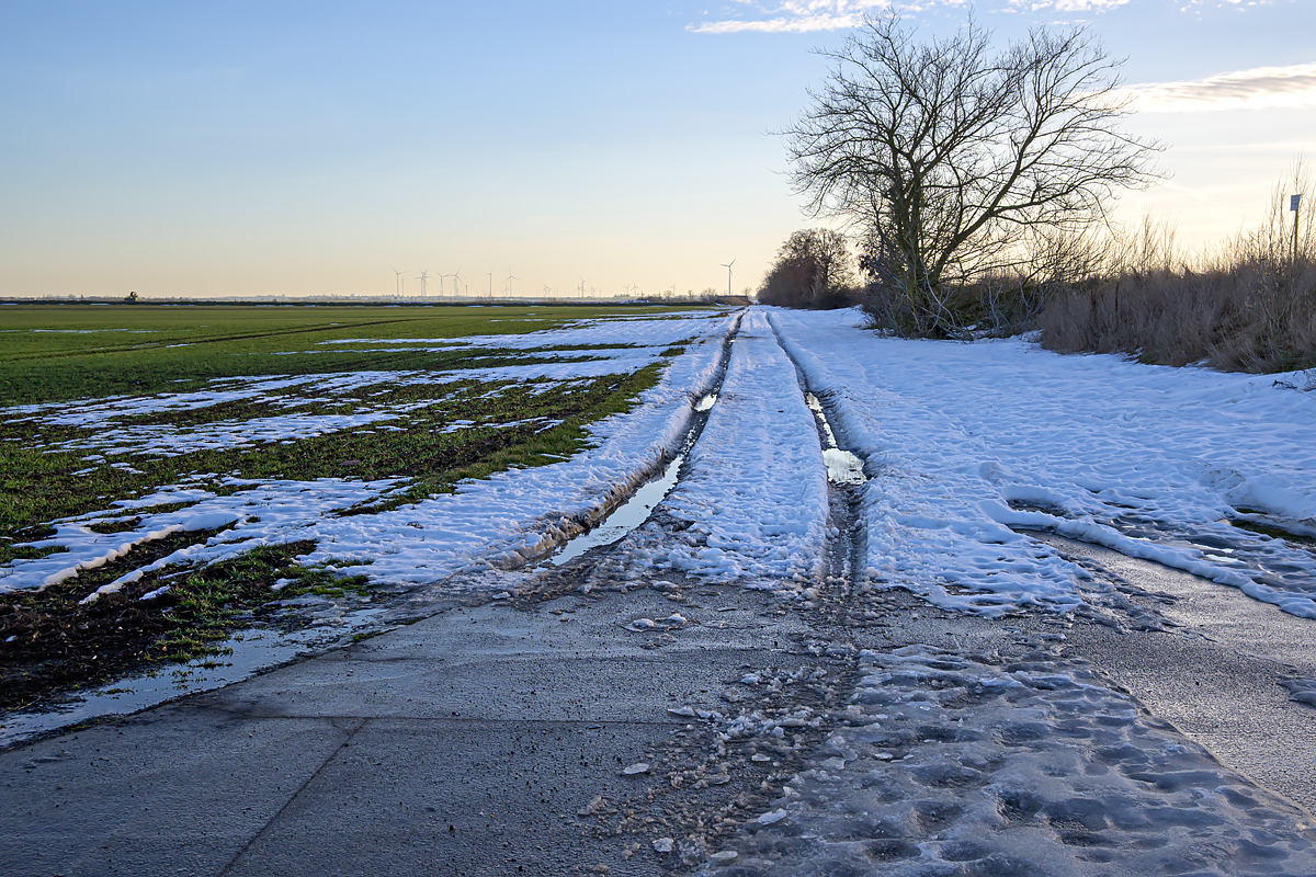 OFZ_03319.jpg