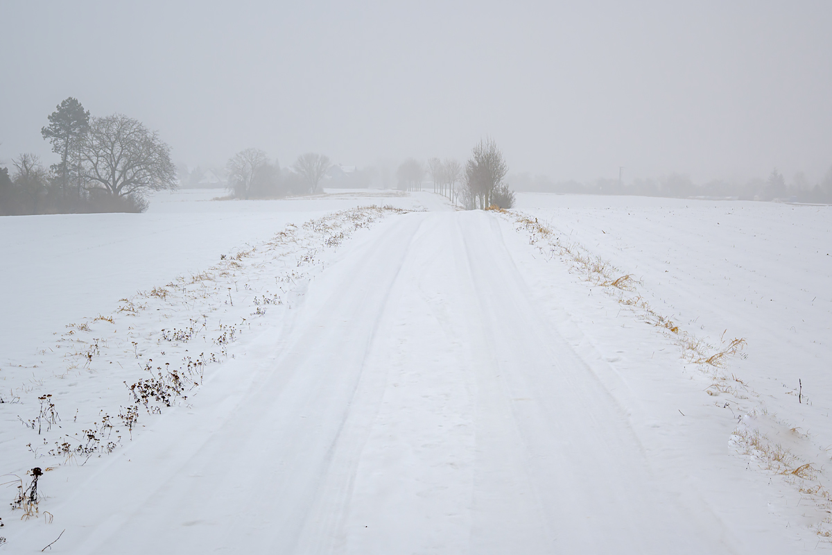 OFZ_03421.jpg