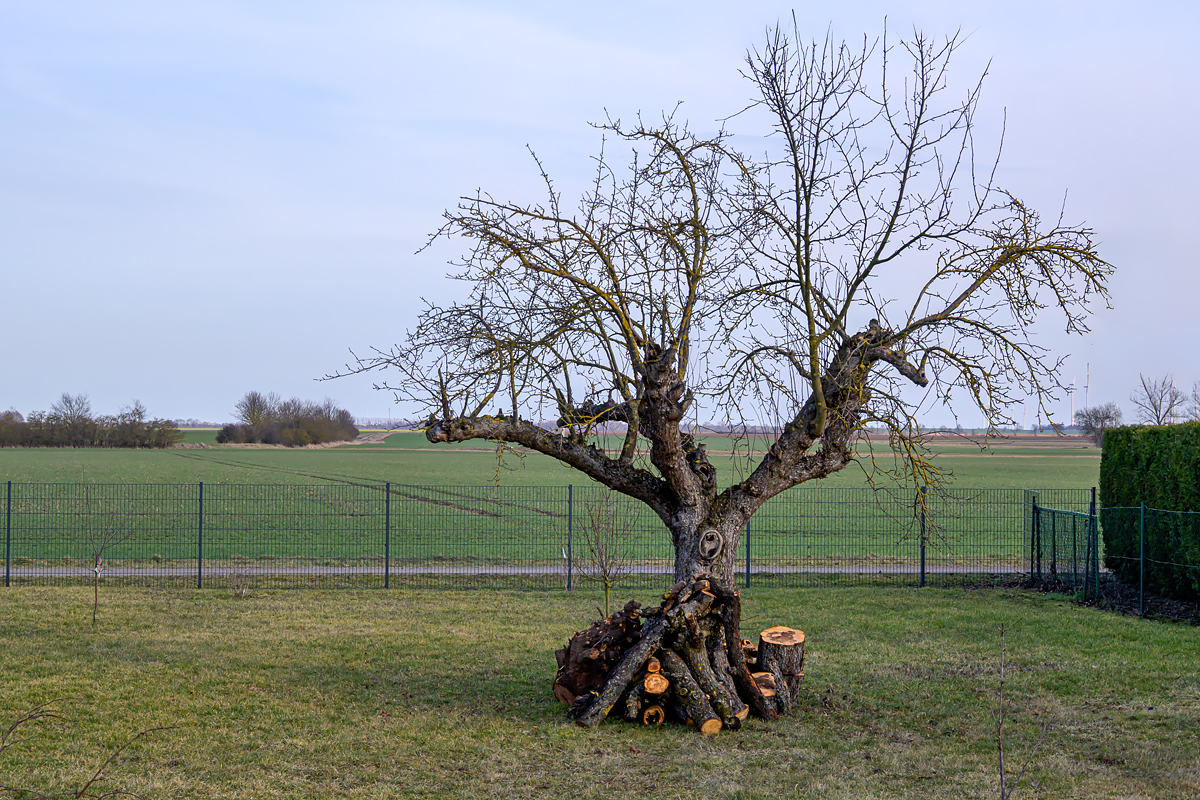 OFZ_03490.jpg