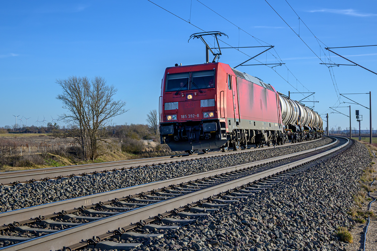 OFZ_03528.jpg