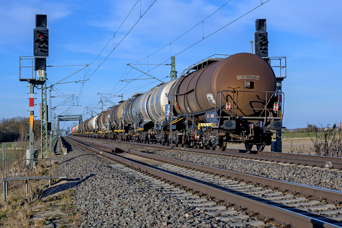 OFZ_03536.jpg