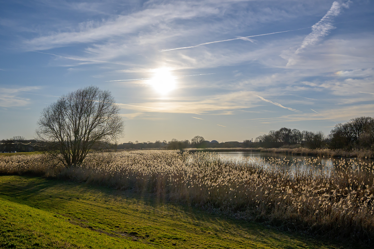 OFZ_03581.jpg