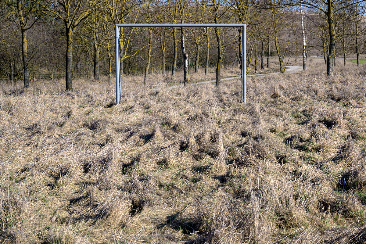 OFZ_03592.jpg