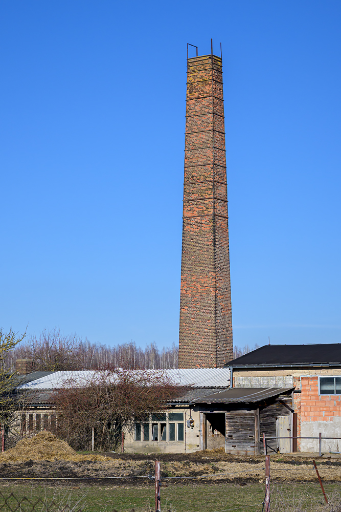 OFZ_03599.jpg