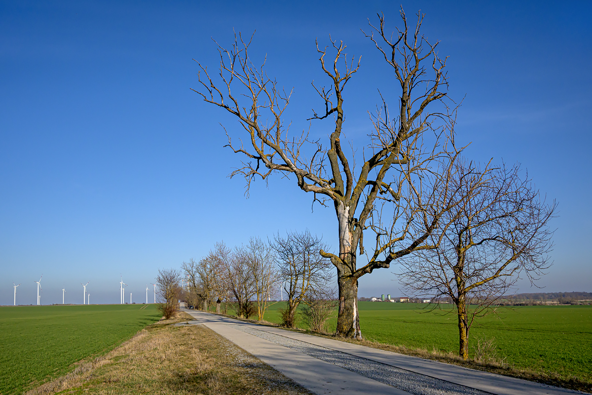 OFZ_03638.jpg