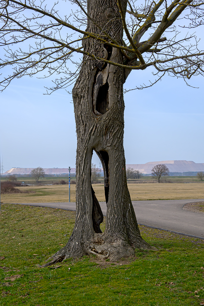 OFZ_03652.jpg