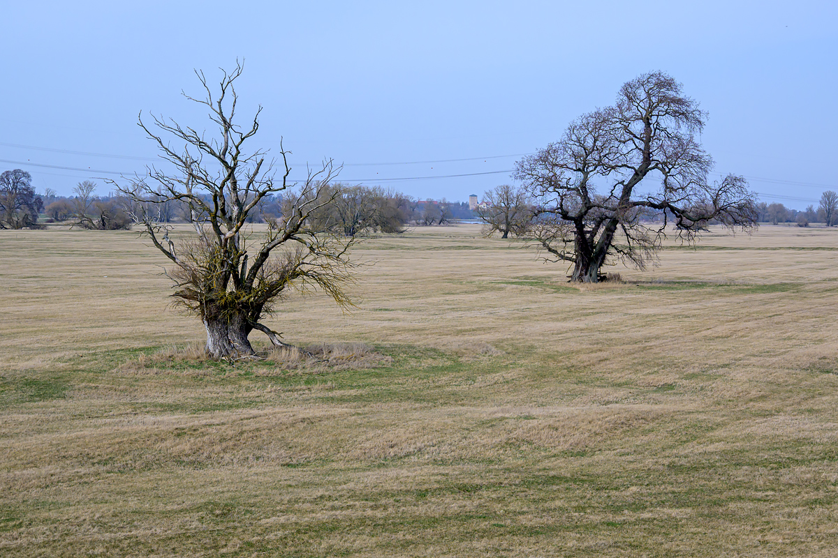 OFZ_03654.jpg