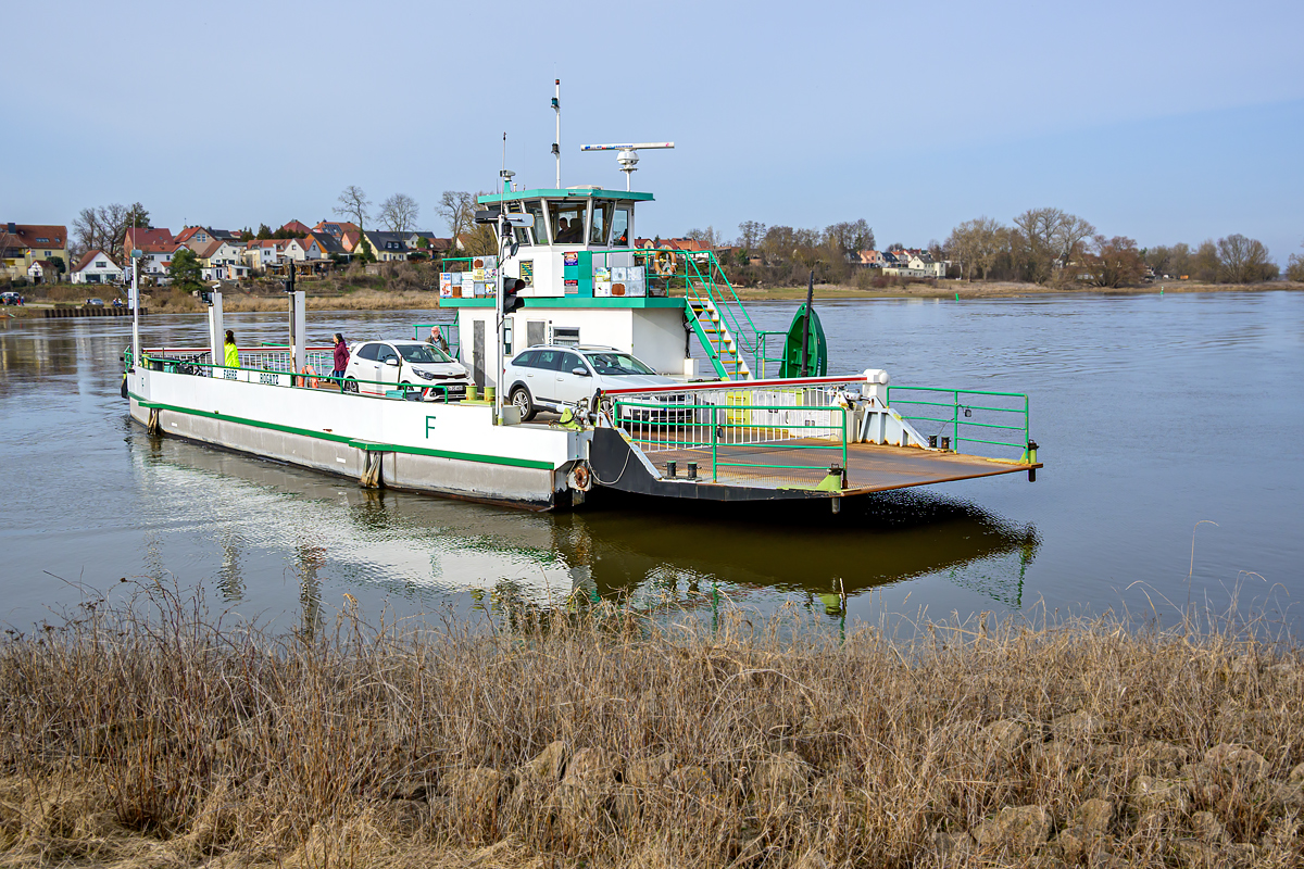OFZ_03667.jpg