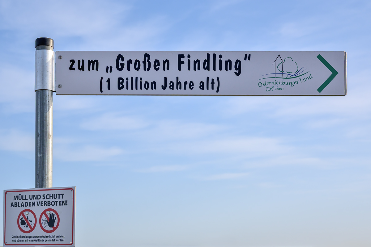 OFZ_03702.jpg