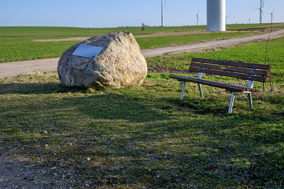 OFZ_03709.jpg
