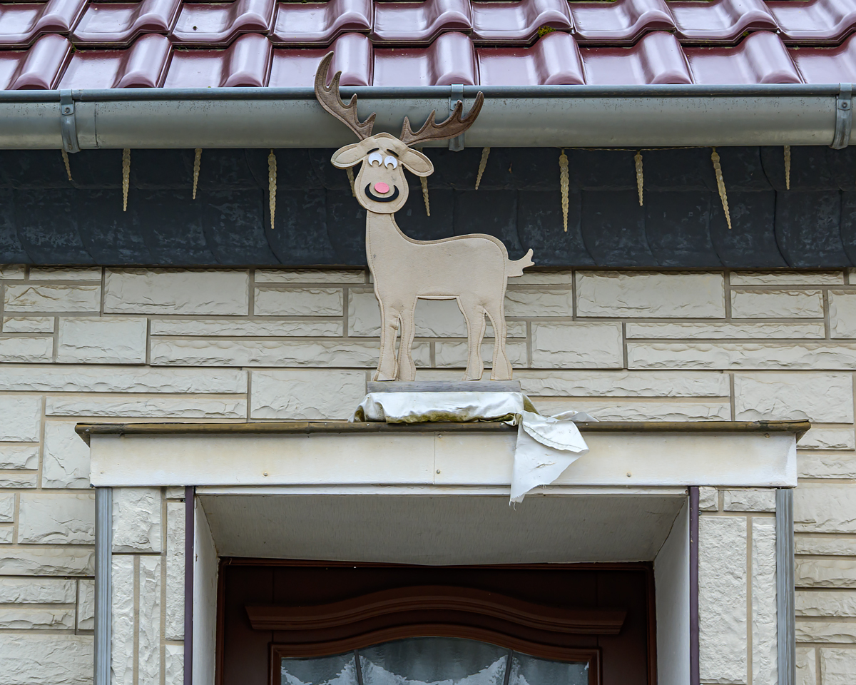 OFZ_03740.jpg