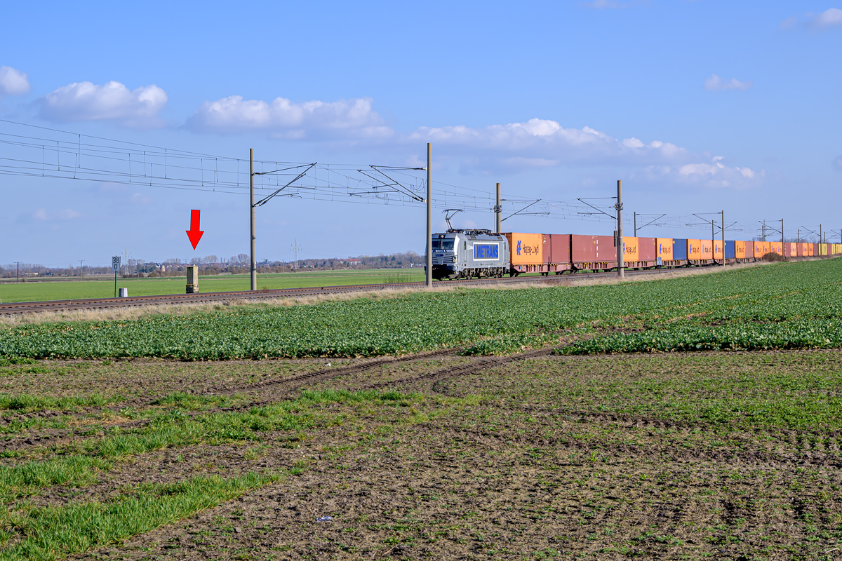 OFZ_03876.jpg