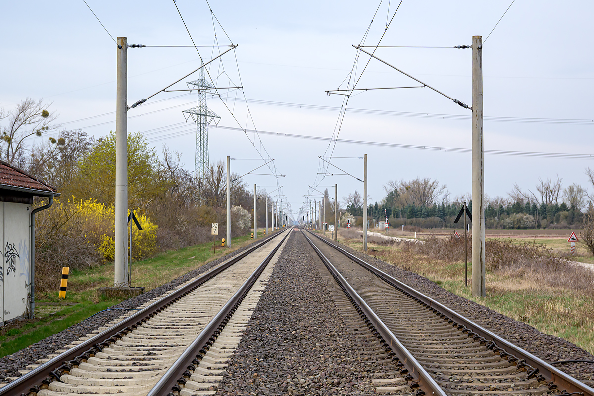 OFZ_04023.jpg