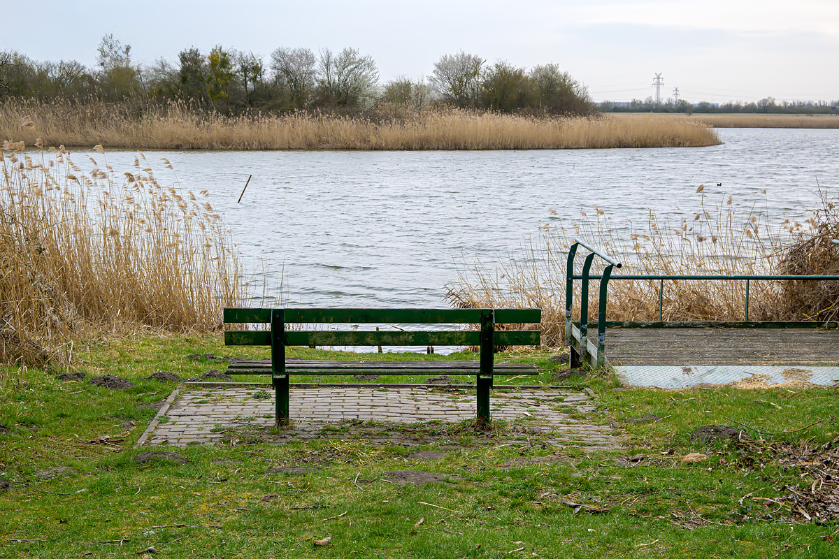 OFZ_04061.jpg