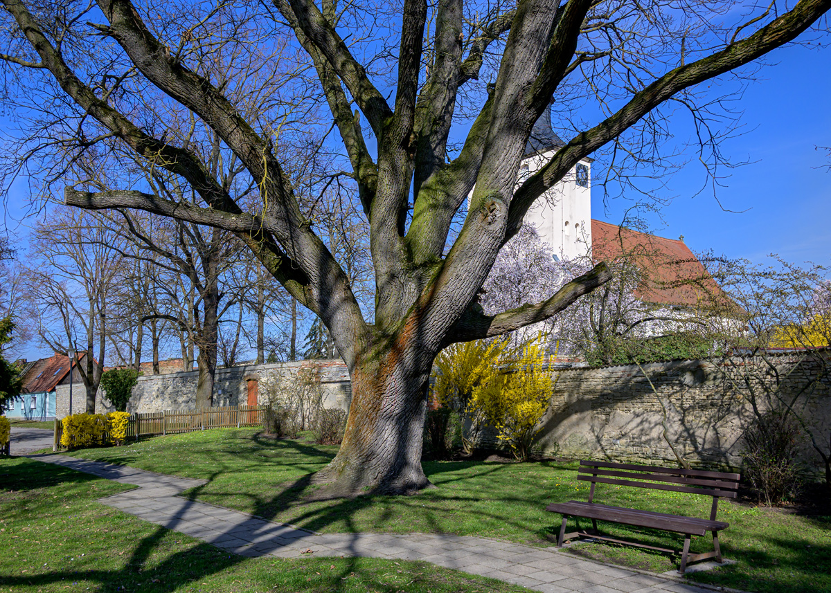OFZ_04117.jpg