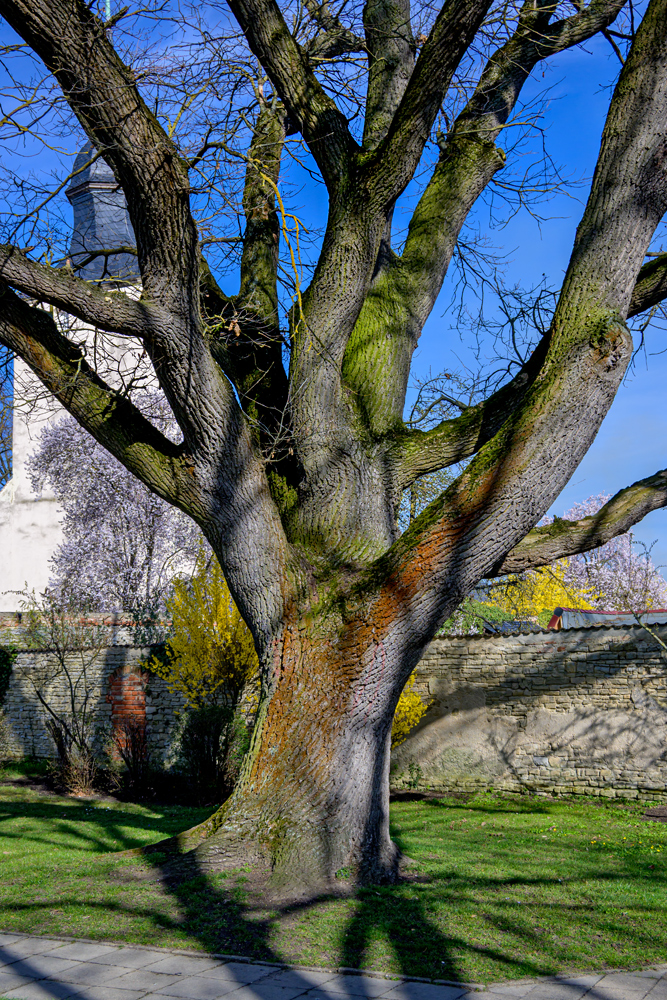 OFZ_04118.jpg