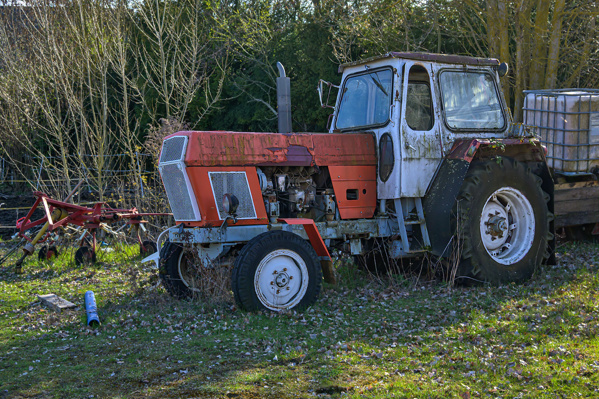 OFZ_04124.jpg