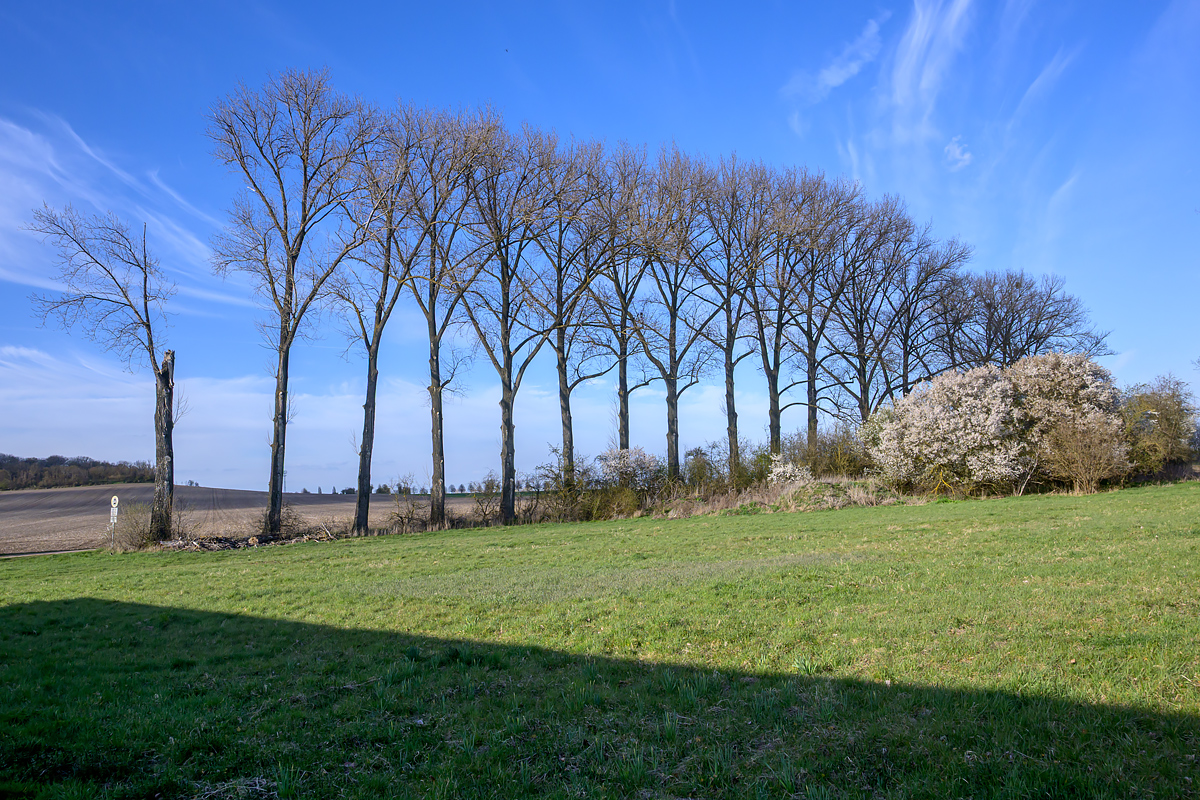 OFZ_04160.jpg