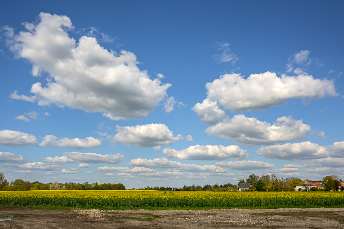 OFZ_04292.jpg