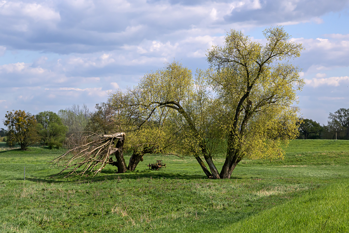 OFZ_04299.jpg