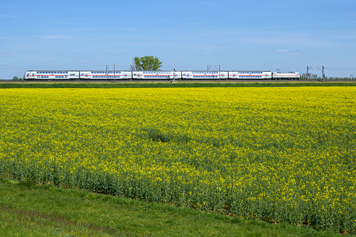 OFZ_04325.jpg