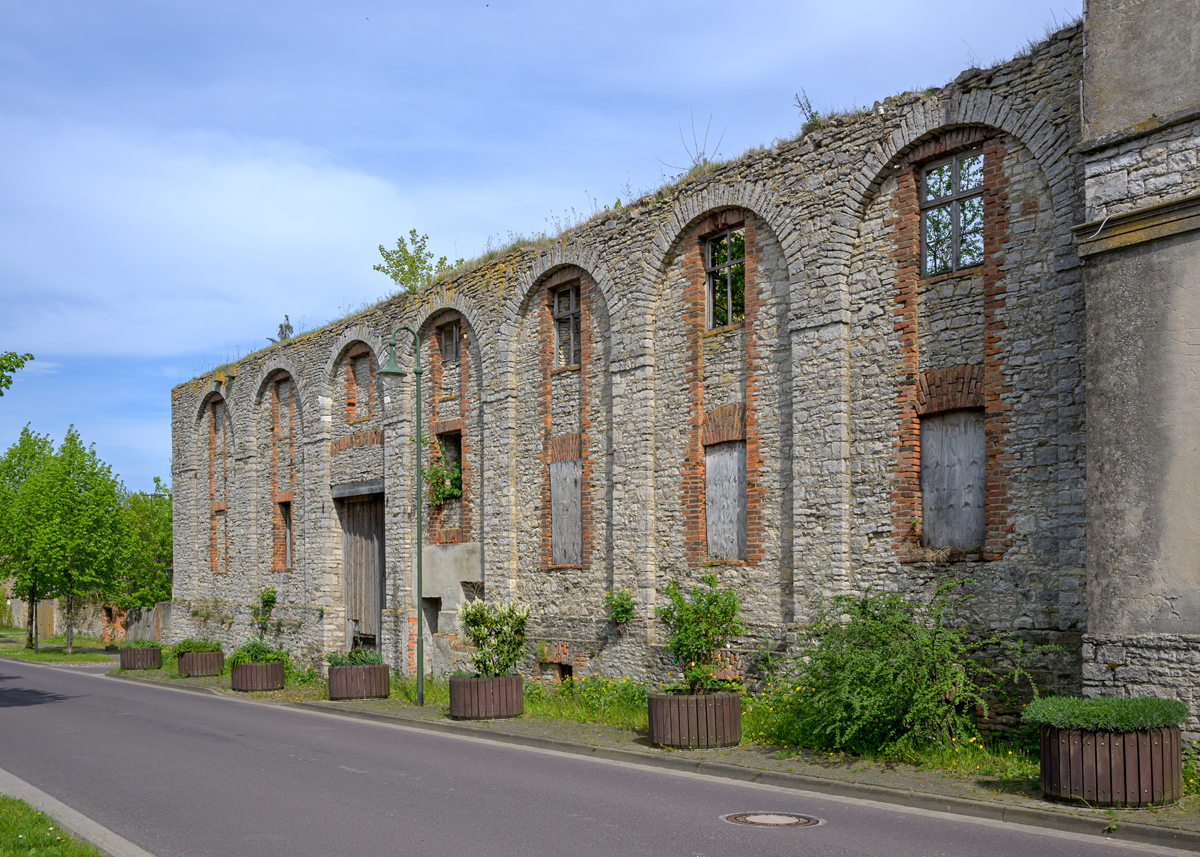OFZ_04370.jpg