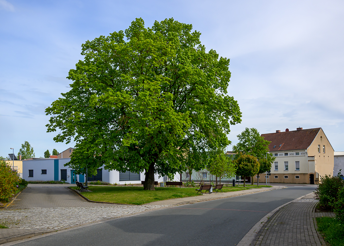 OFZ_04395.jpg