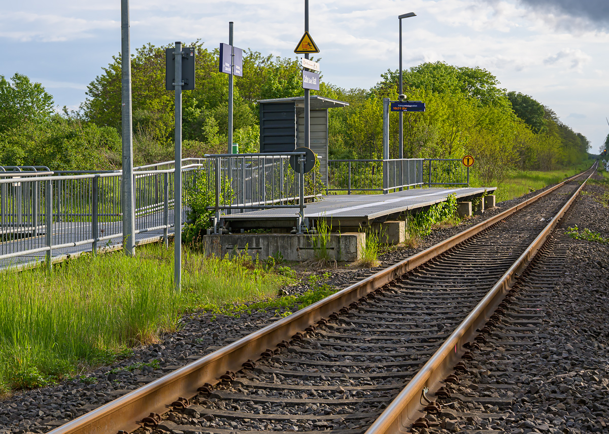 OFZ_04421.jpg