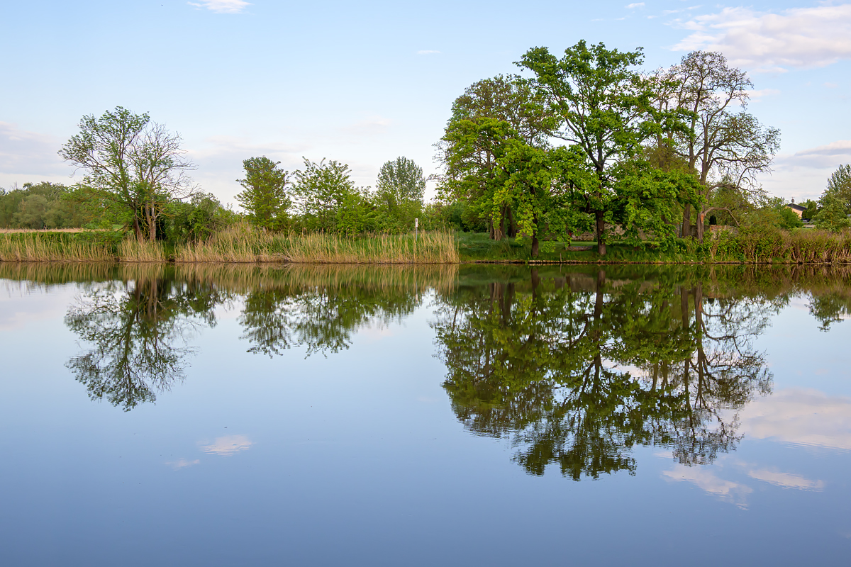 OFZ_04453.jpg