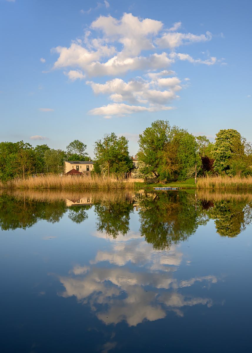 OFZ_04462.jpg