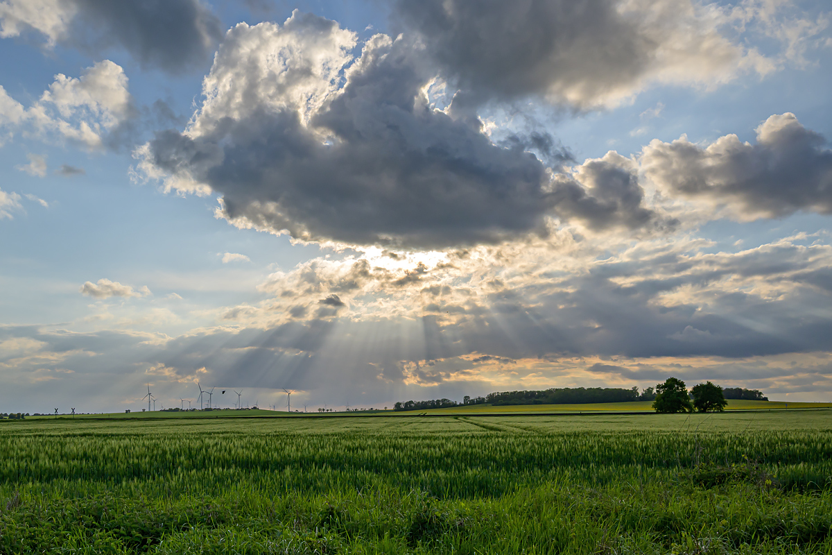OFZ_04466.jpg