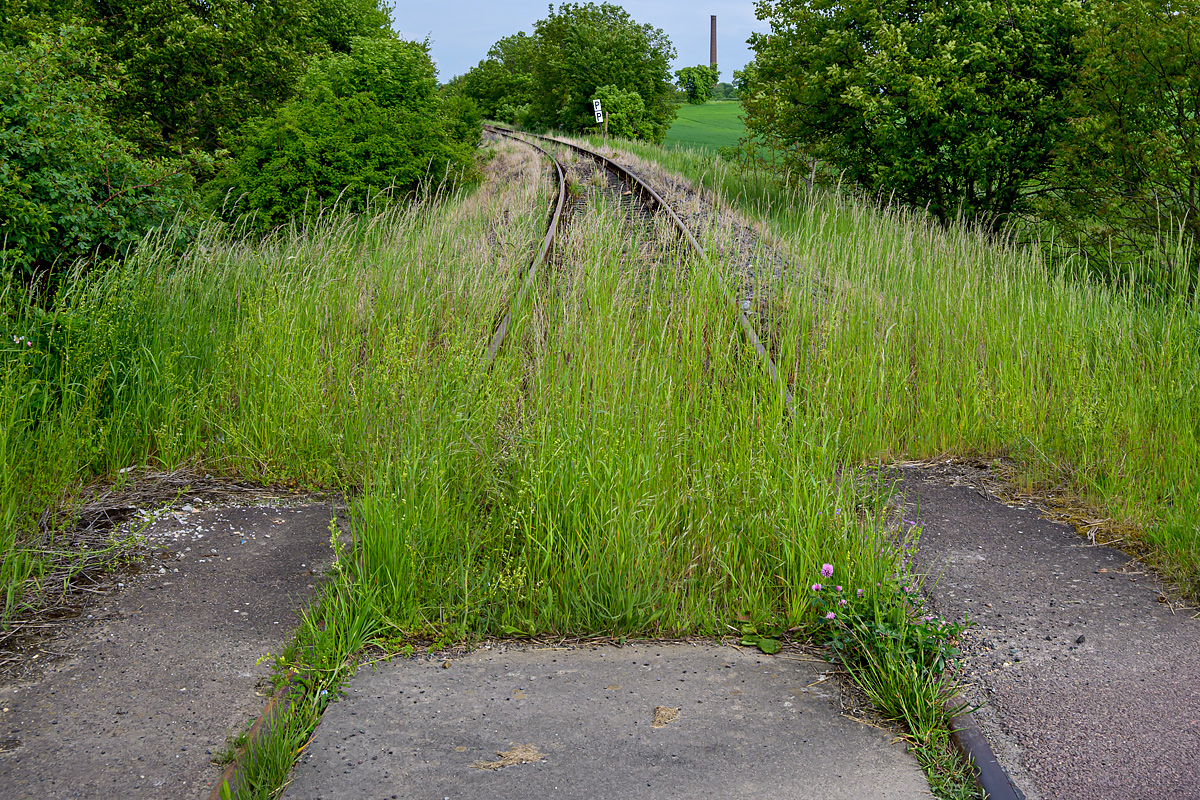 OFZ_04704.jpg