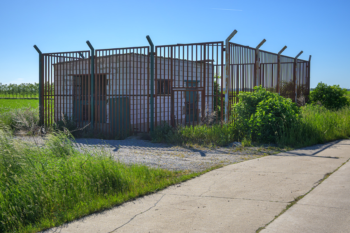 OFZ_05008.jpg