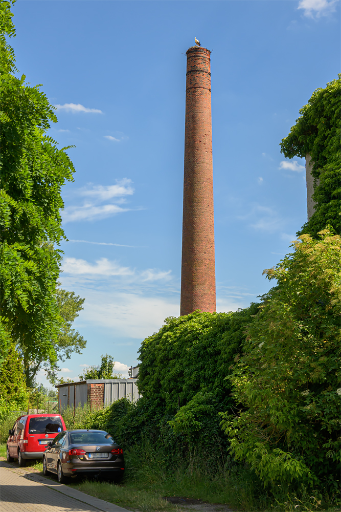 OFZ_05476.jpg